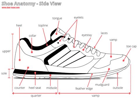 sneaker parts name.